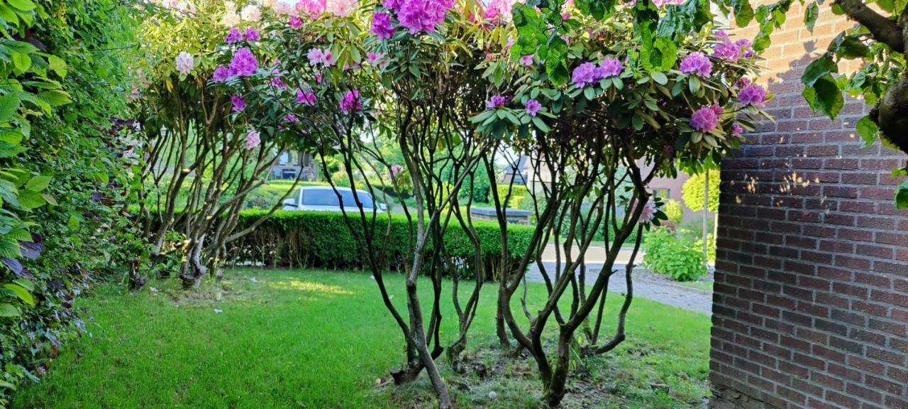 Chez Nous Apartment Bastogne Ngoại thất bức ảnh